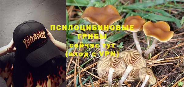 гашиш Майский