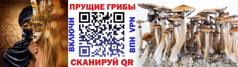 Псилоцибиновые грибы мухоморы  Купить  Ульяновск 